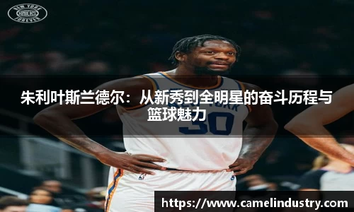 朱利叶斯兰德尔：从新秀到全明星的奋斗历程与篮球魅力