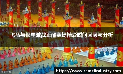 飞马与银星激战正酣赛场精彩瞬间回顾与分析